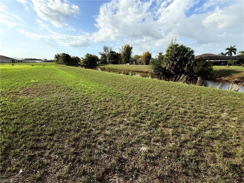 Image 4: View of green lawn