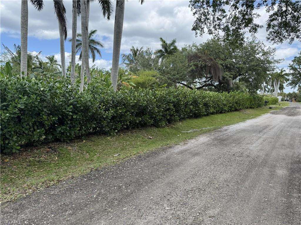 Image 3: Frontage on Ficus Tree Ln.