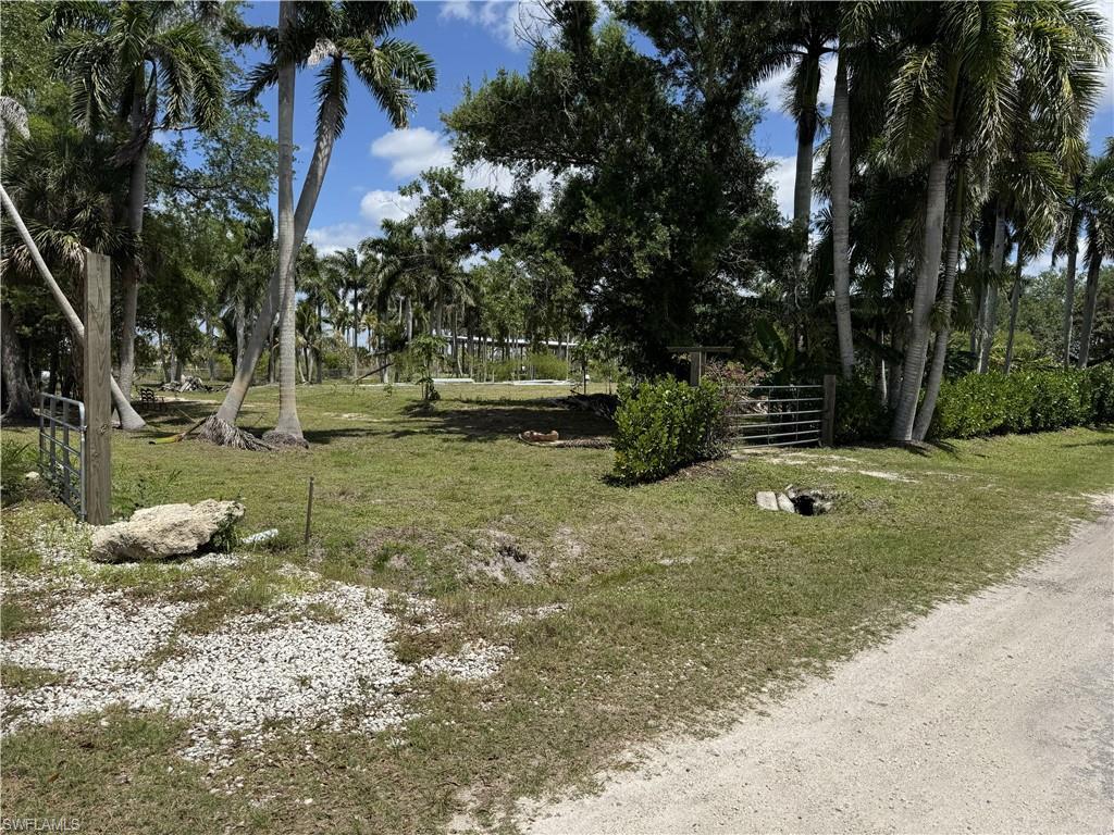 Image 4: SW corner of property