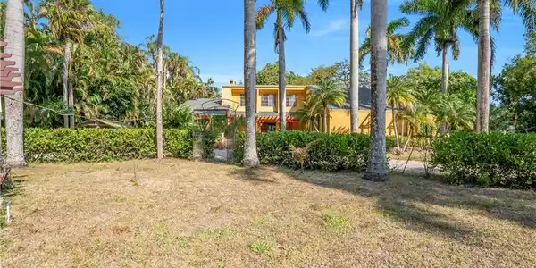 Image 3: Lush tropical landscaping with mature palm trees and manicured hedges