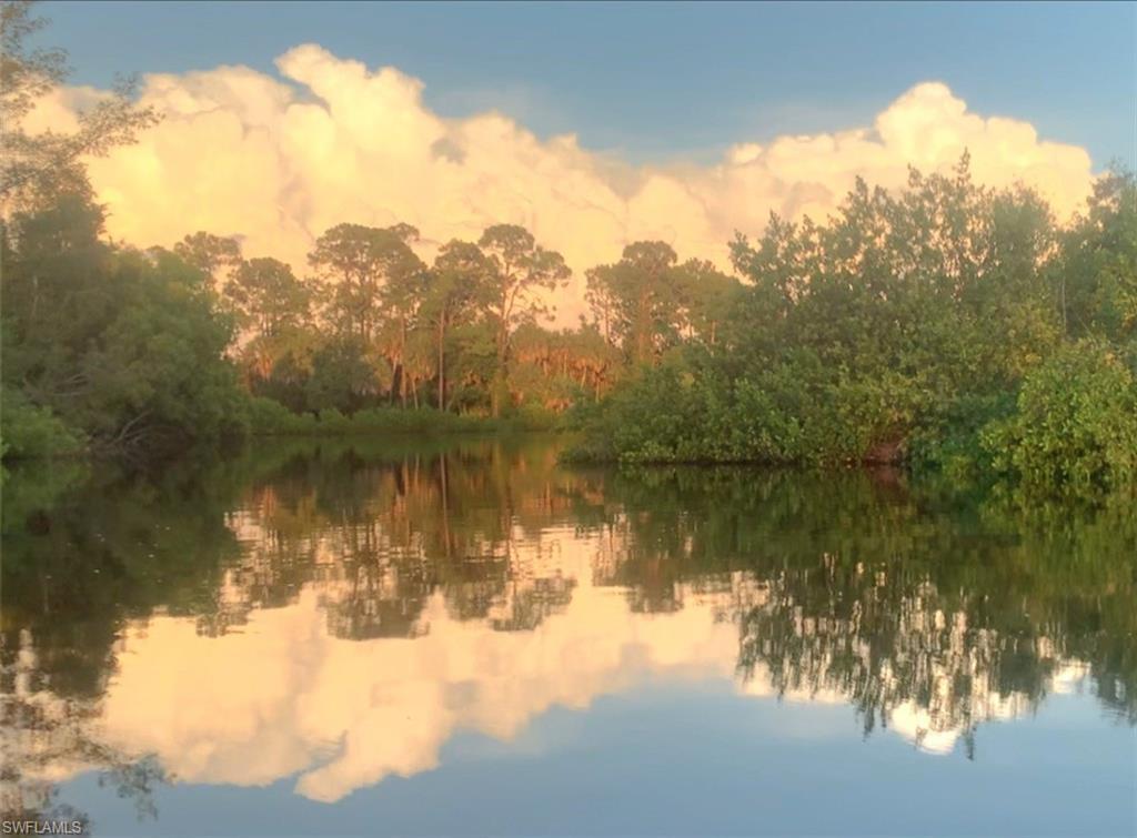 Image 1: Beautiful nature veiws