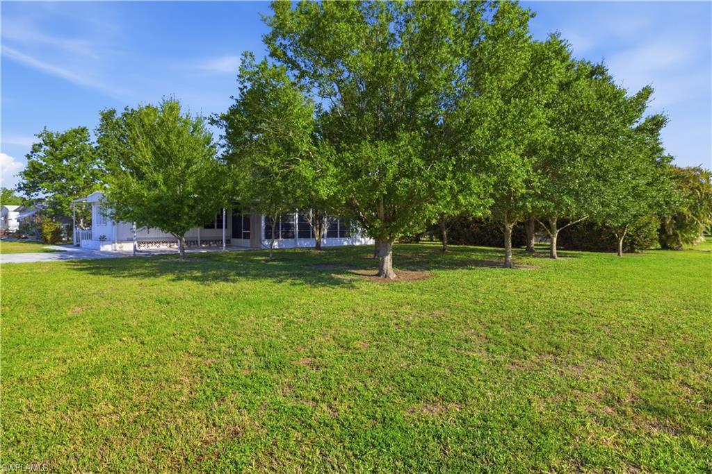 Image 3: Spacious front yard with mature trees and a manicured lawn