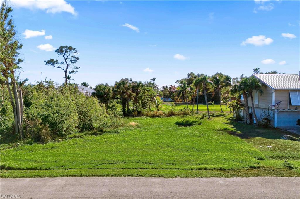 Image 4: Welcome home to your beautiful buildable lot!