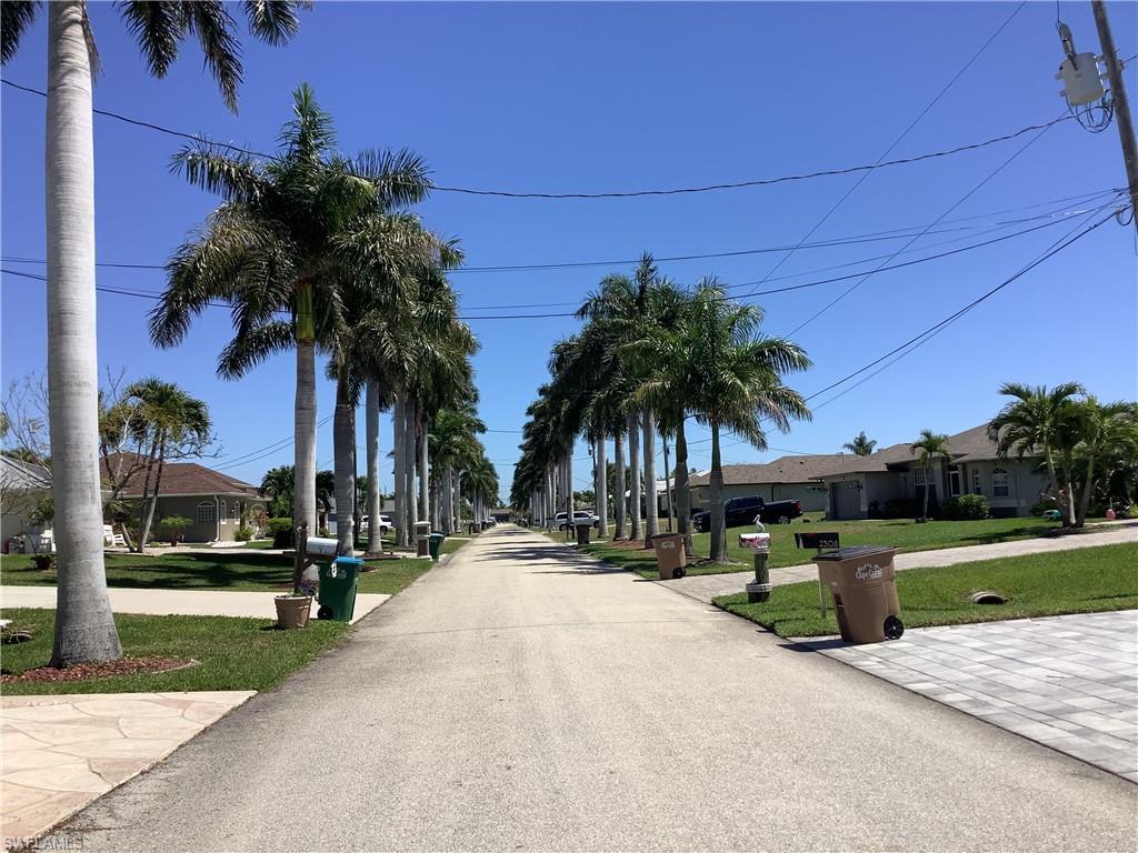 Image 2: Royal Palm Lined Street