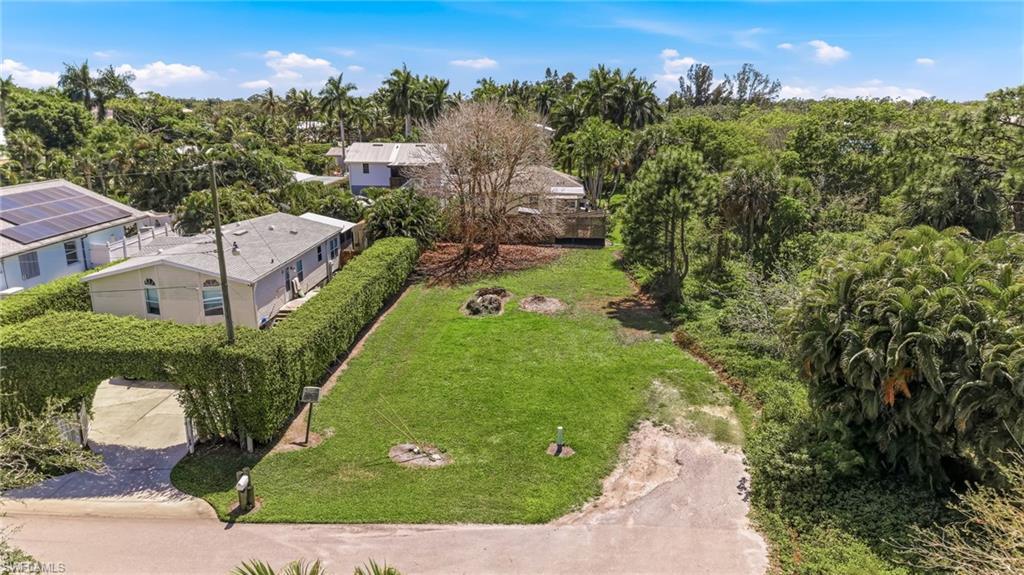Image 3: Drone / aerial view of a tree filled landscape