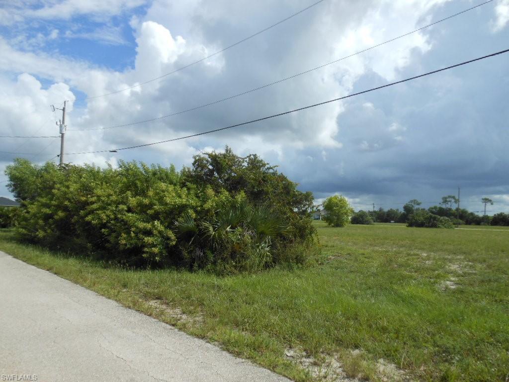 Image 4: View of asphalt street