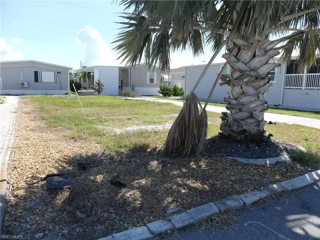 Image 1: View of yard