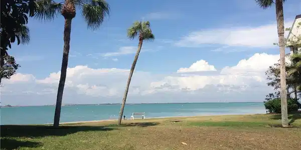 Image 4: Water view