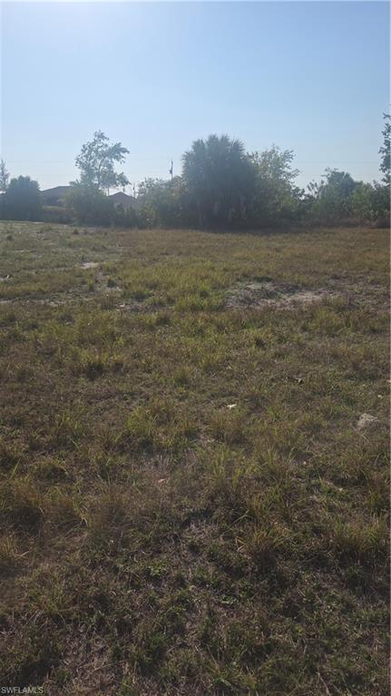 Image 4: Cleared lot with Western exposure on the rear.