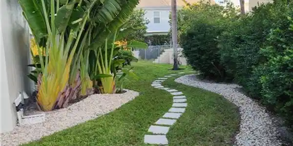 Image 2: View of yard