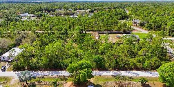 Image 3: Bird's eye view of a heavily wooded area