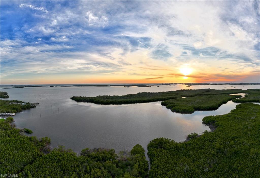 Image 2: Natural Aquatic Preserve