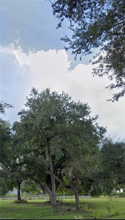 Image 2: View of undeveloped land