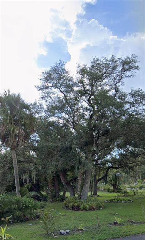 Image 3: View of cleared undeveloped land along Billy&rsquo;s Creek