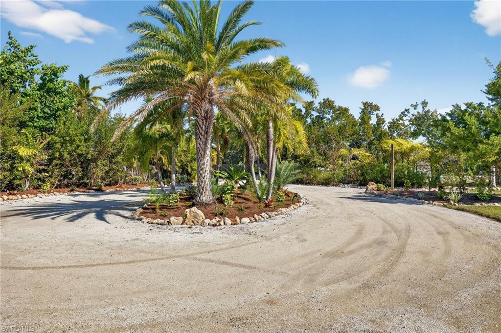 Image 4: Large Circular Driveway