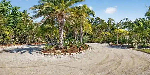 Image 4: Large Circular Driveway