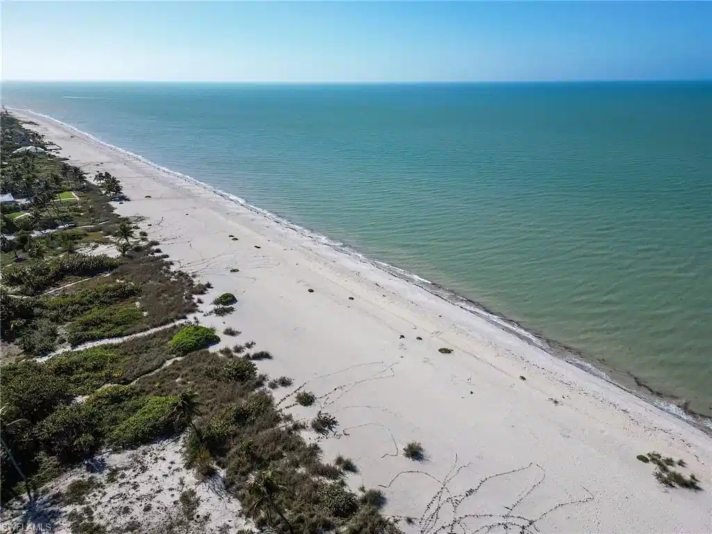 Image 1: Shoreline view looking east