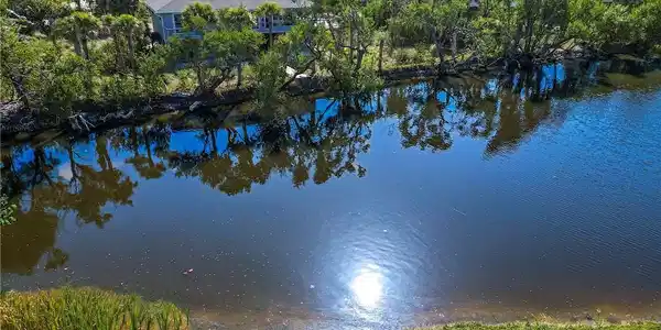 Image 3: Sanibel River view from back yard.