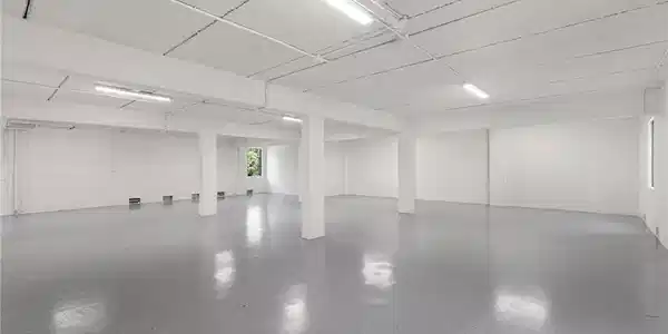 Image 3: Massive Garage finished with Epoxy