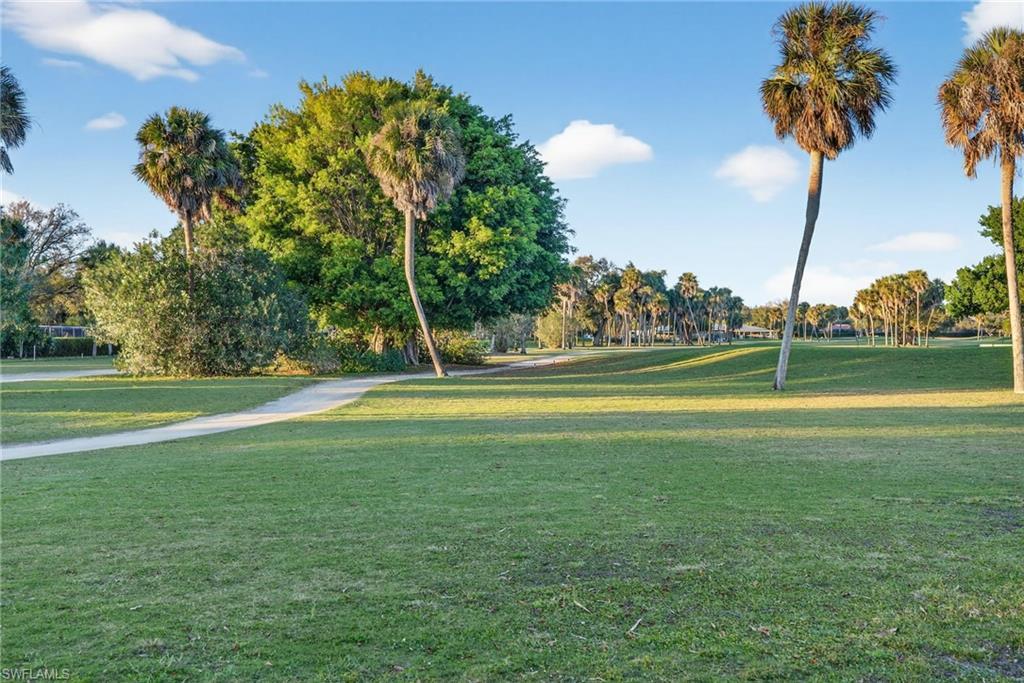 Image 4: Expansive green space featuring mature palm trees and lush foliage