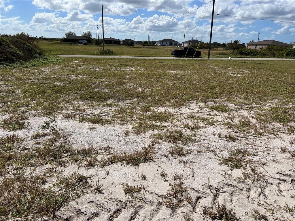 Image 4: View of yard