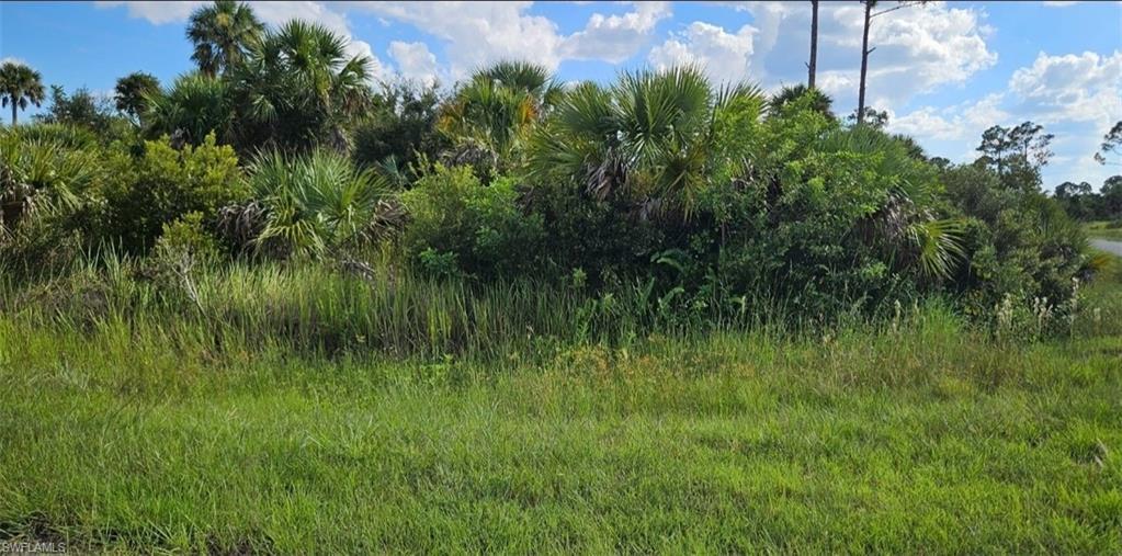 Image 1: View of nature