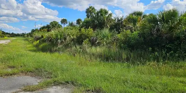 Image 2: View of nature