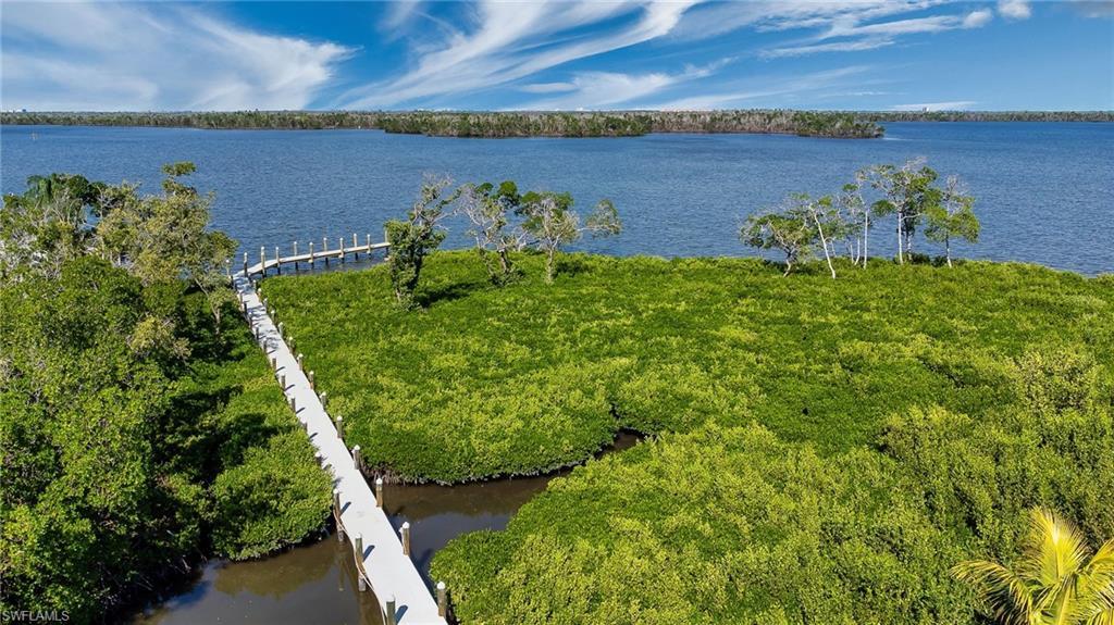 Image 4: Water view from the upper lanai over pristine Estero Bay preserve