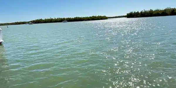 Image 2: Water view