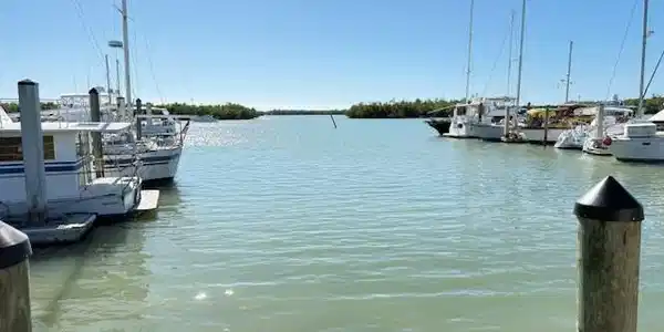 Image 4: Dock area with a water view