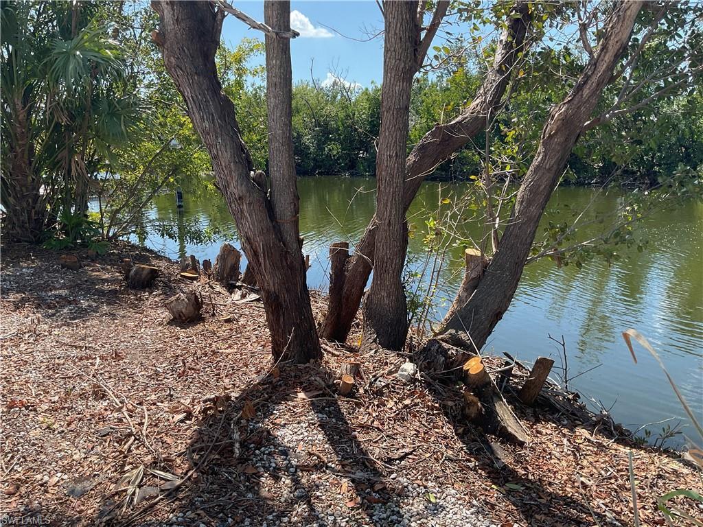 Image 1: Water view