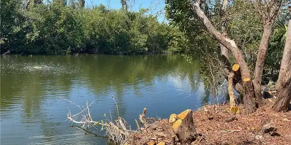 Image 2: Water view