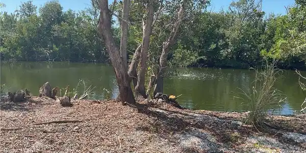Image 3: Water view