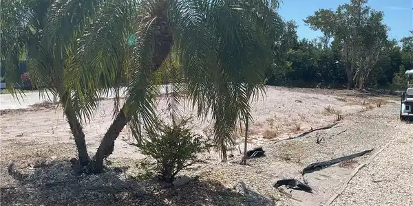 Image 4: View of yard