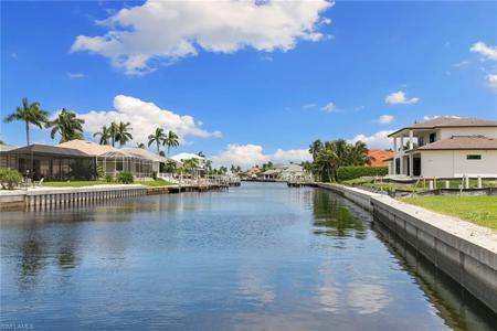 206 Dan River CT