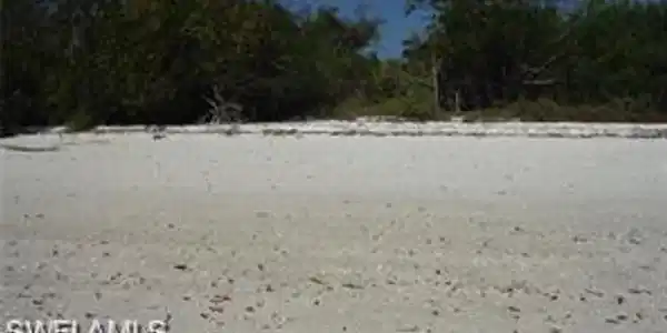 2 Cape Romano