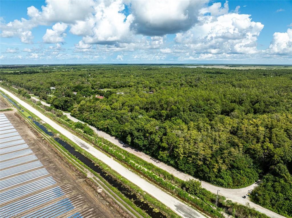 Image 3: Bird's eye view of a heavily wooded area