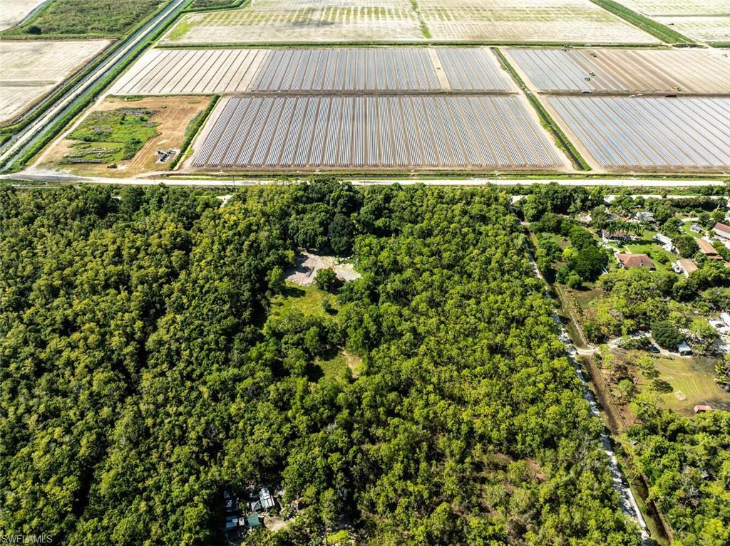 Image 4: Aerial view