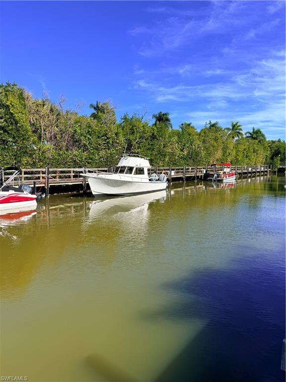 Image 3: Dock area with a water view of boats, pelicans, and fish