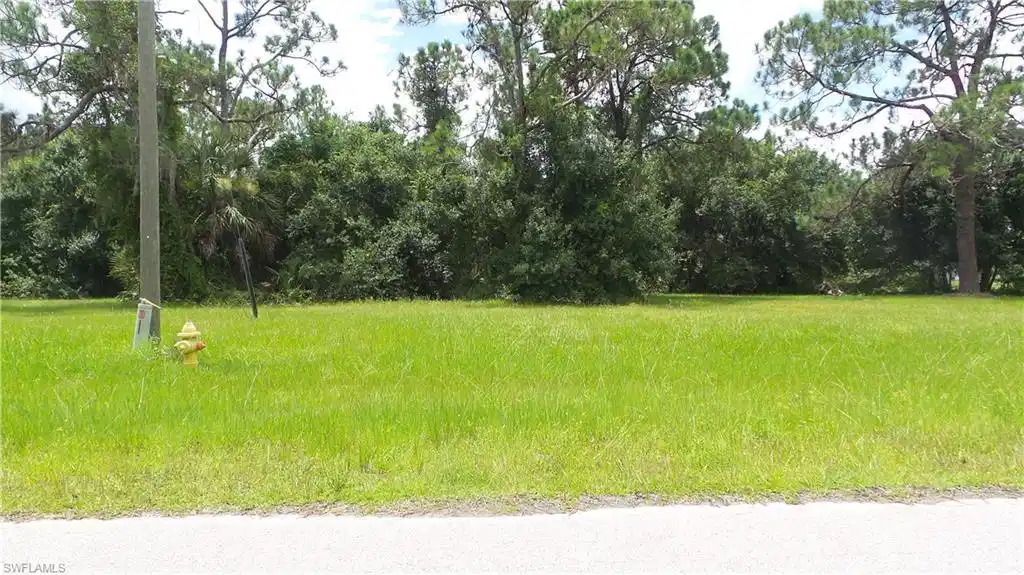 Image 1: View of yard