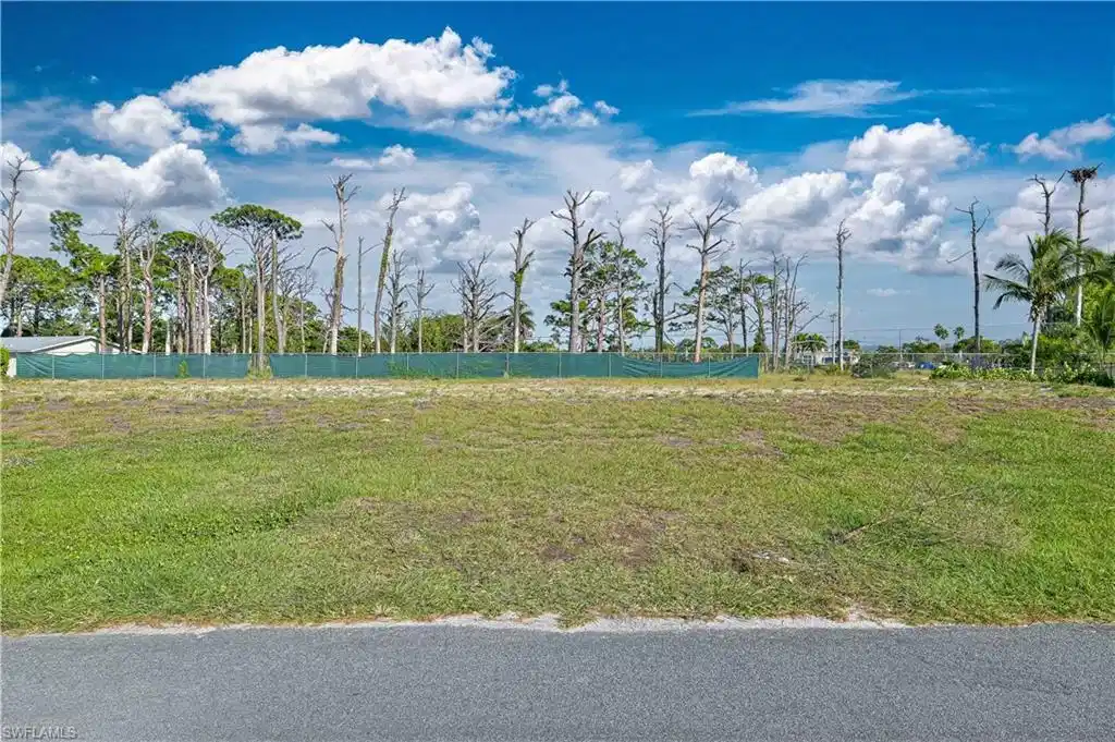 Image 1: View of yard