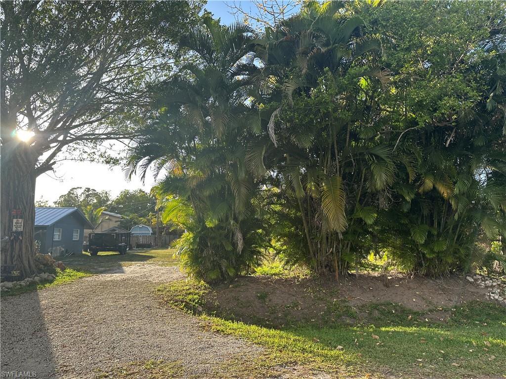 Image 4: View of dirt / gravel driveway