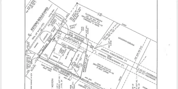 Image 3: Survey