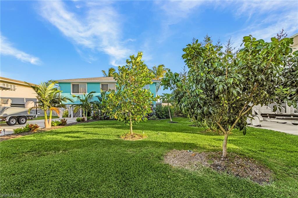 Image 3: Lush green lawn with mature trees and tropical plantings, featuring a vibrant turquoise exterior and a concrete driveway