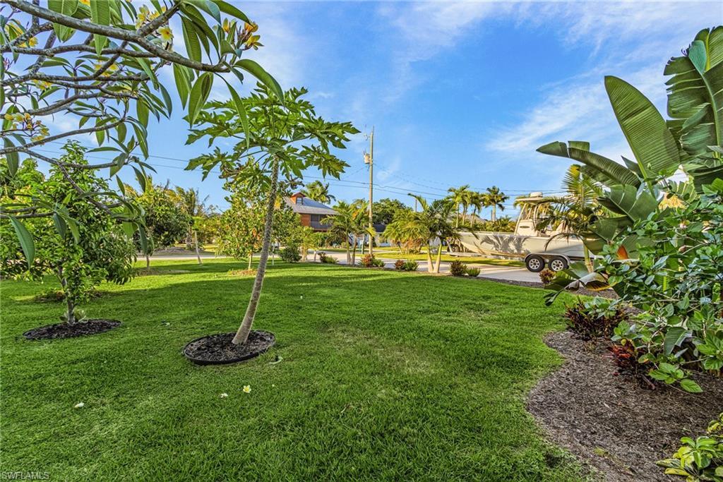 Image 4: Expansive green lawn with mature tropical foliage and a variety of trees, including a frangipani