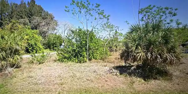 Image 3: View of nature