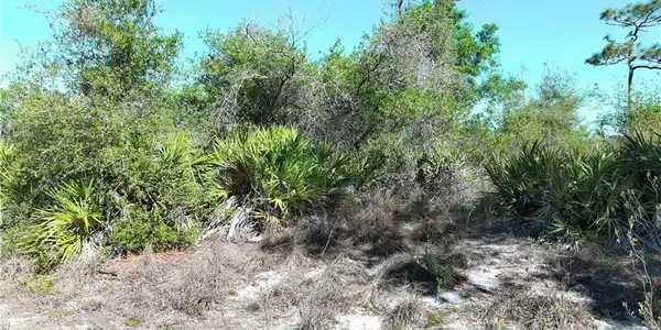 Image 3: View of local wilderness