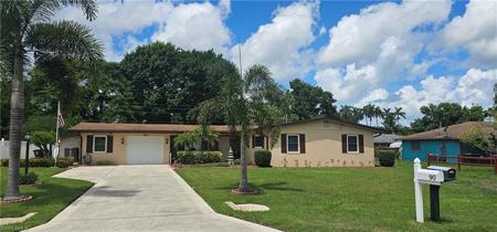90 Palm Tree TER
