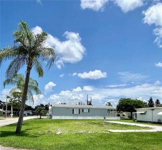 763 Knotty Pine CIR
