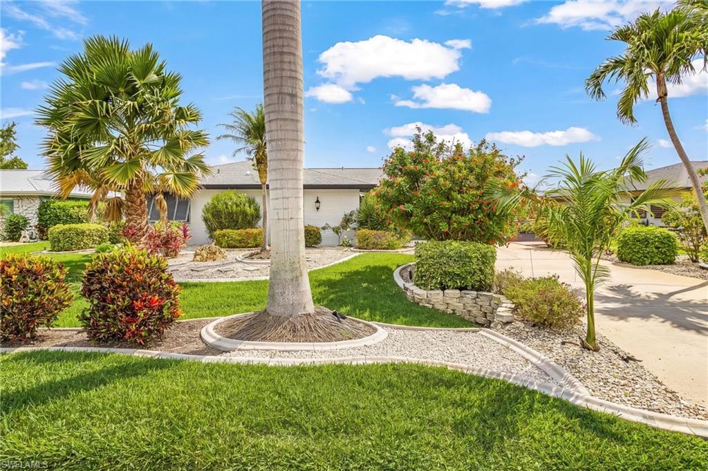 Image 4: Lush landscaping